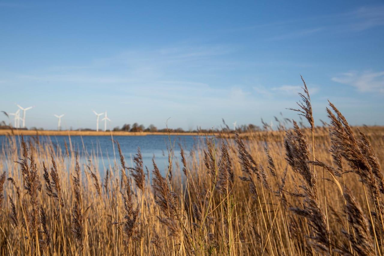 Daenisches Blockhaus Direkt Am Wangermeer シリヒ エクステリア 写真